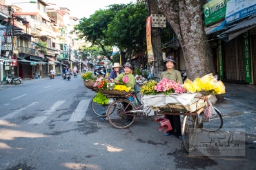 Flower girl. Hanoi. Vietnam. September 2018